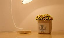 【微作文】遨游浩瀚的书海_100字