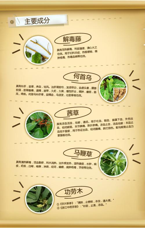 一杯眼泪不是弱_750字