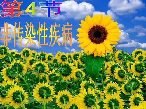 初花_700字