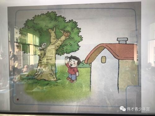 对于鸟的话_450字