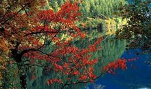 有生命真好_650字