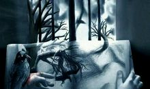 自由与束缚_900字