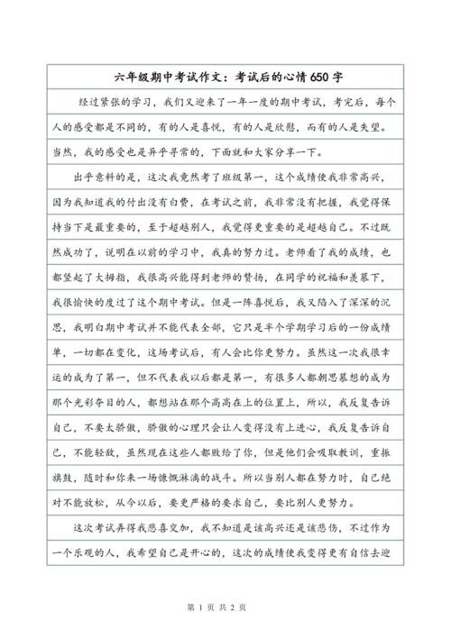 参加考试，我看起来像这个_650字