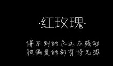 有梦，才有成功_550字