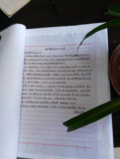 给叔叔的一封信_650字