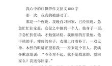 我心中的红飘带_450字