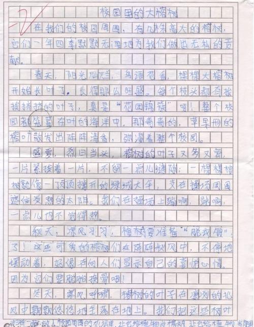 生活中的生活_400字