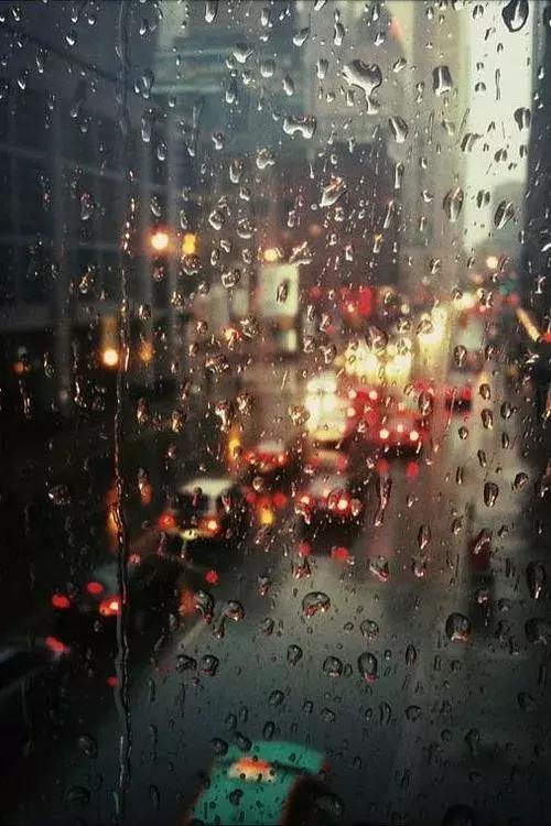 雨，也美丽_150字