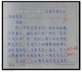 给王红的信_300字