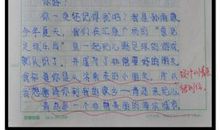 给王红的信_300字