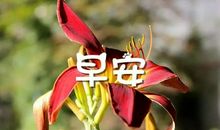 黎明下的微笑（四）_900字