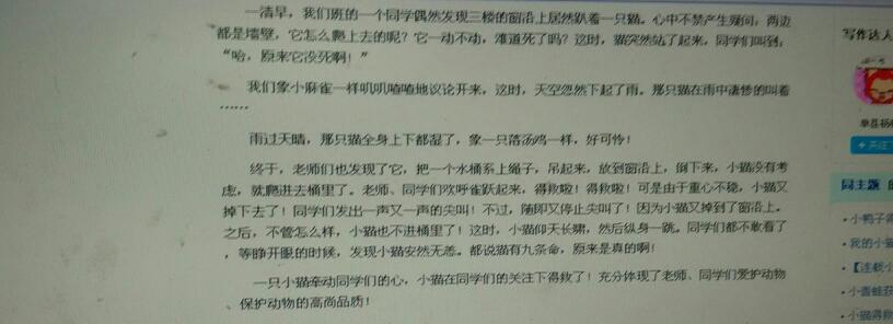 [微妙]小猫_100字