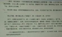 【微作文】小猫_100字