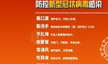 关于新型冠状病毒肺炎作文：新型冠状病毒_700字