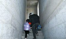 为90后伸冤_2000字