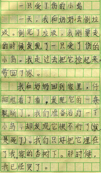雨中雨_300字