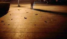 你在哪儿，我的老友？_450字