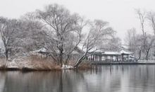 冬天的济南爱我家园_800字