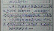 【微作文】小王子_100字