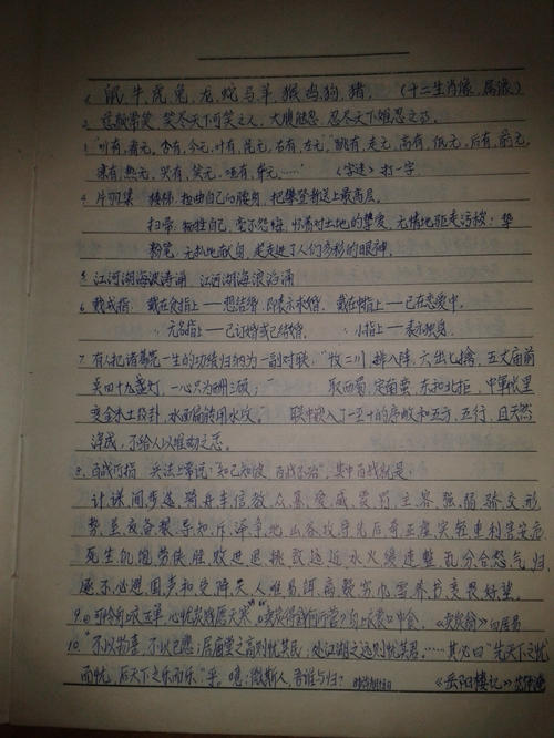 一年级信件：写它十年后_800字