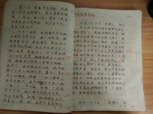 第三天日：绿豆观察日记（2）_650字
