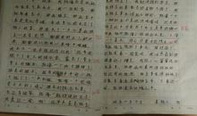 初三日记：绿豆观察日记（二）_650字