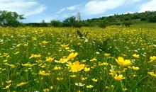 您的爱无处不在_750字