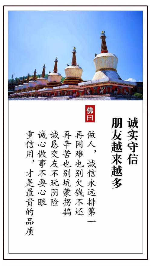 生活道路，以信为主_500字