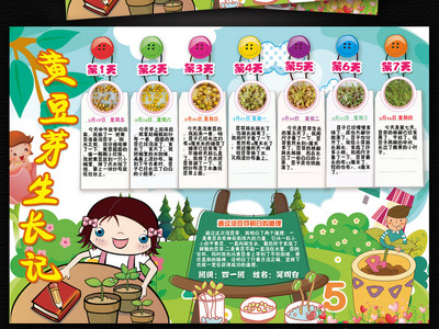 第三日记：植物观察日记_550字