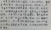 四年级看图作文：小鸭子找朋友_300字