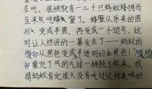 初三日记：蚂蚁观察日记（二）_700字