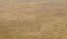 白沙湾一日游_650字