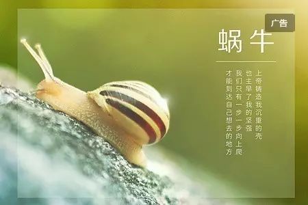 技术很好_450字