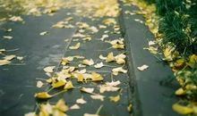 一抹浅笑，掩我半世红尘（第二章）_2000字