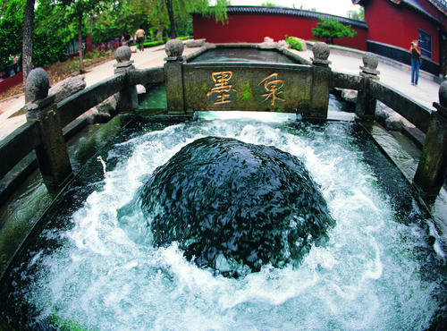 美丽的baibai spring_650字