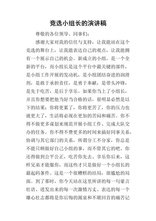 竞选团队领导_300字
