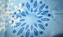 夏天的雪花_600字