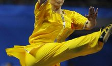 广州亚运比赛项目介绍：武术