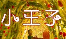 与小王子聊聊天_550字