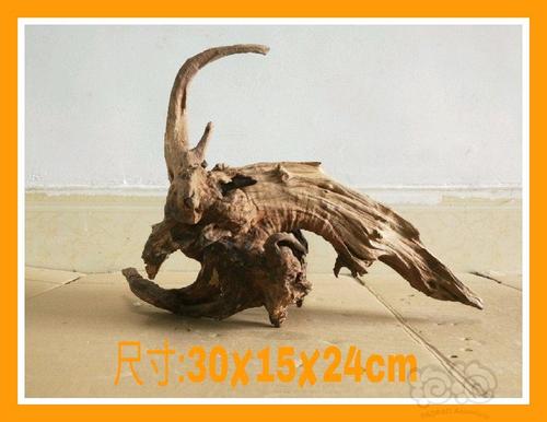 两个沉没的木条_650字