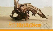 两根沉木条_650字