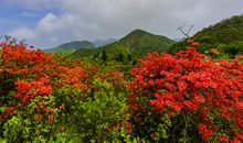 四季“秀”大赛_1200字