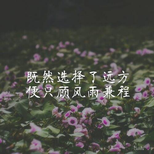 由于您选择了距离_500字