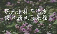 既然你选择了远方_500字