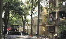 李琪祎个人简介