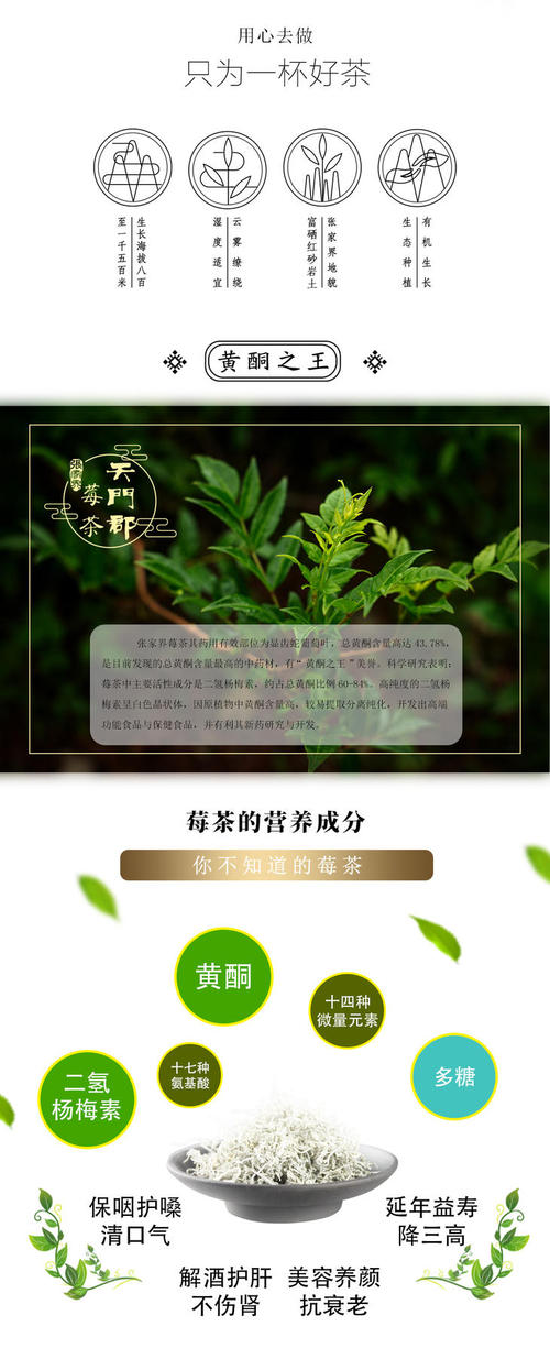 雪韵_500字