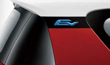 奇妙的小蚂蚁_300字