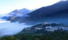 云水边境木_650字