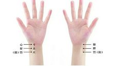 左手&右手_450字