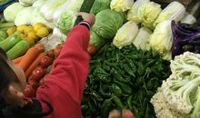 我帮妈妈买菜_900字